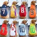 FIFA World Cup pet outfits