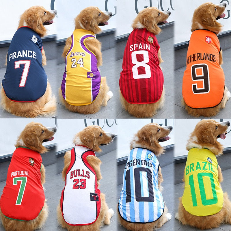 FIFA World Cup pet outfits