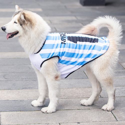 FIFA World Cup pet outfits