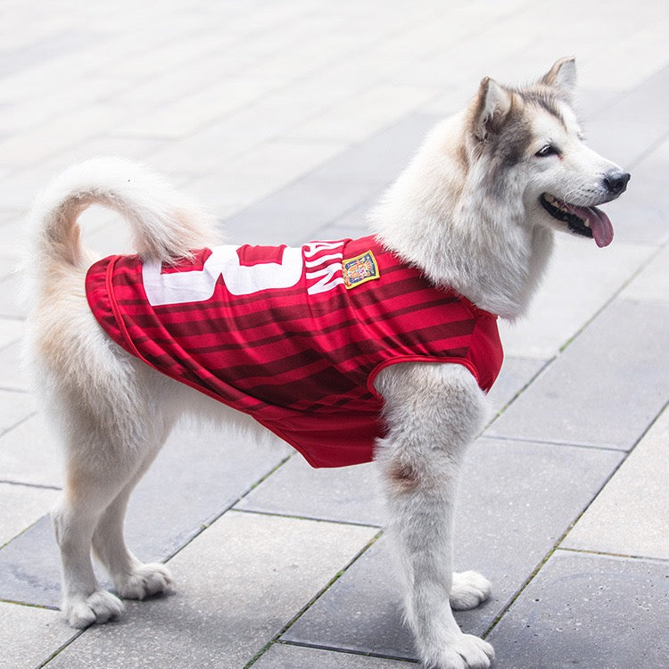 FIFA World Cup pet outfits