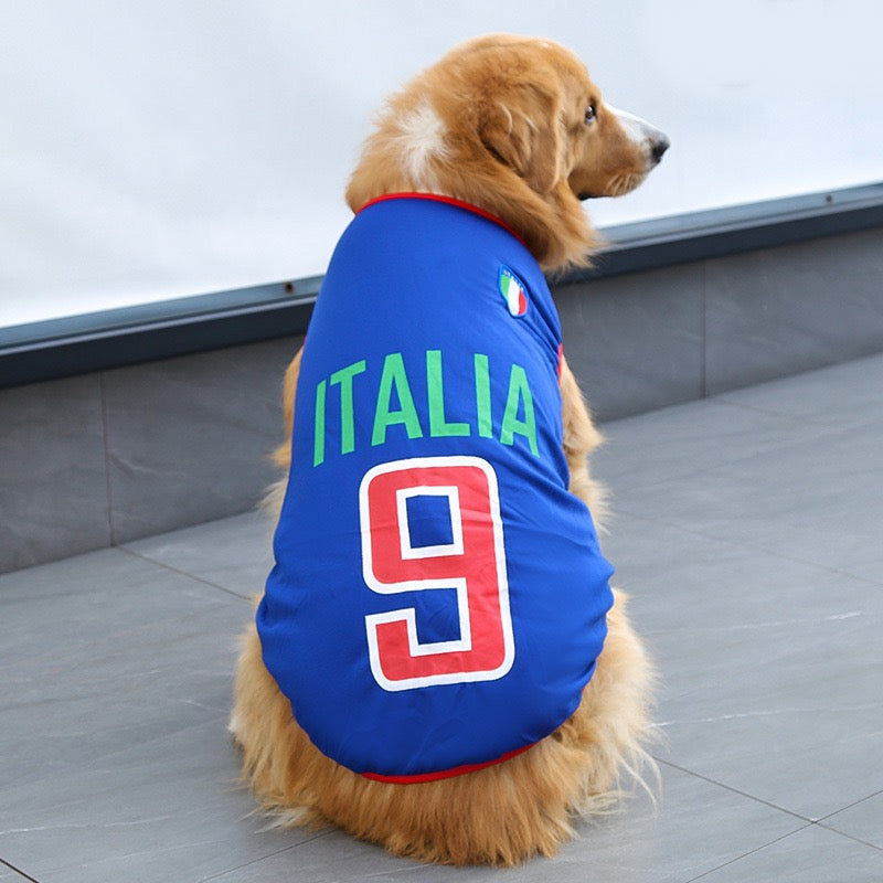 FIFA World Cup pet outfits