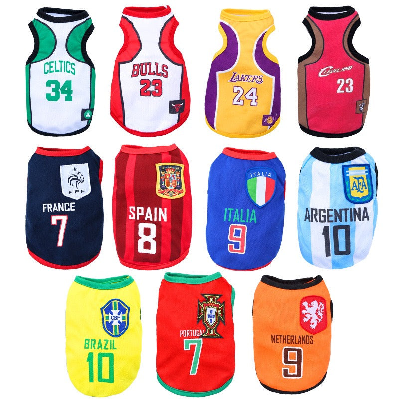 FIFA World Cup pet outfits