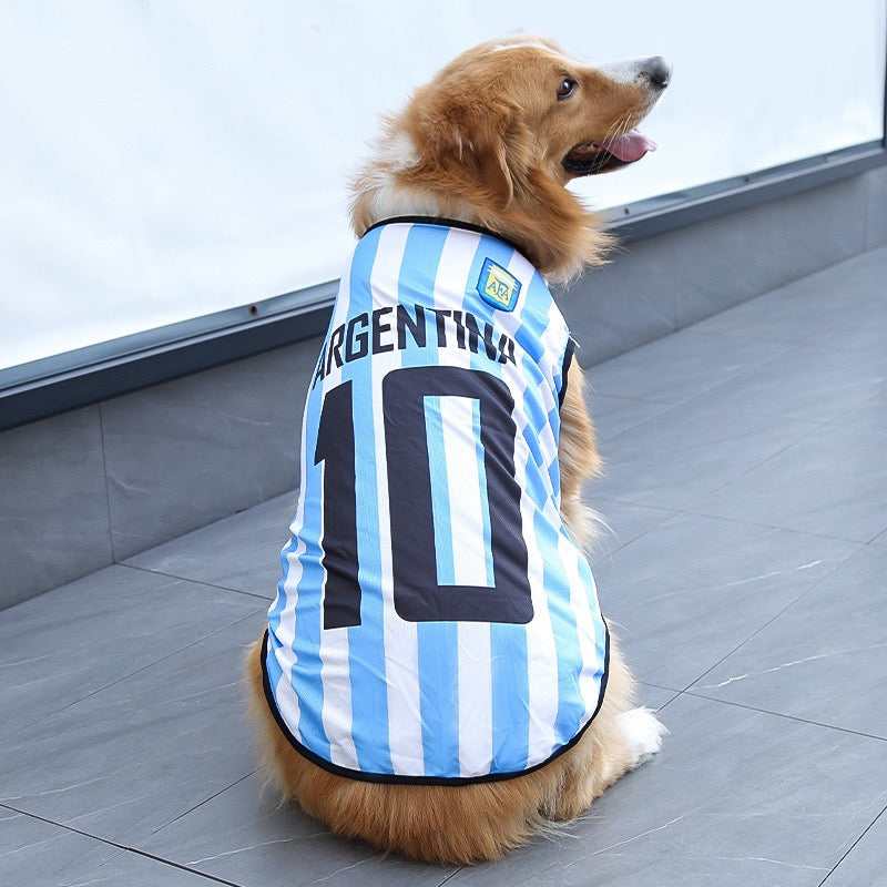 FIFA World Cup pet outfits