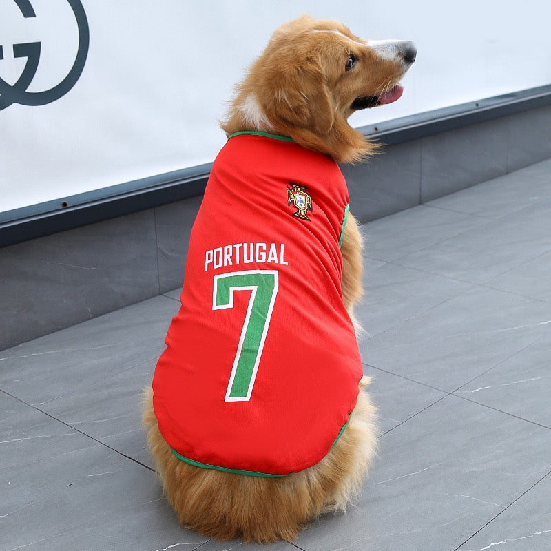 FIFA World Cup pet outfits