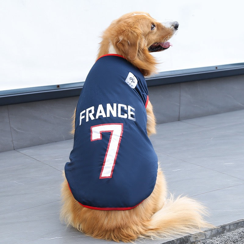 FIFA World Cup pet outfits