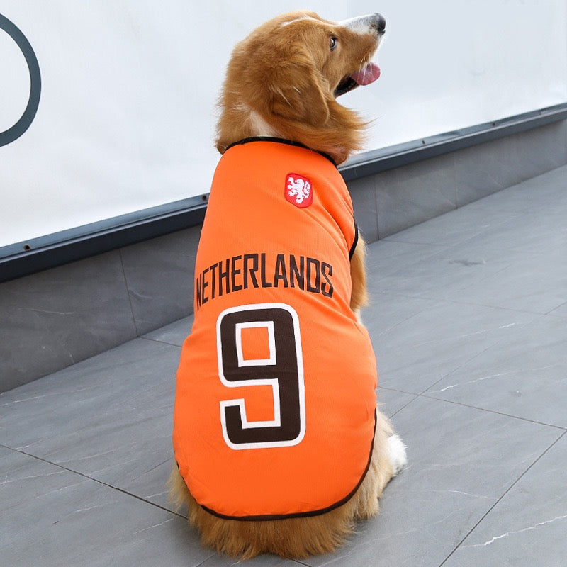 FIFA World Cup pet outfits