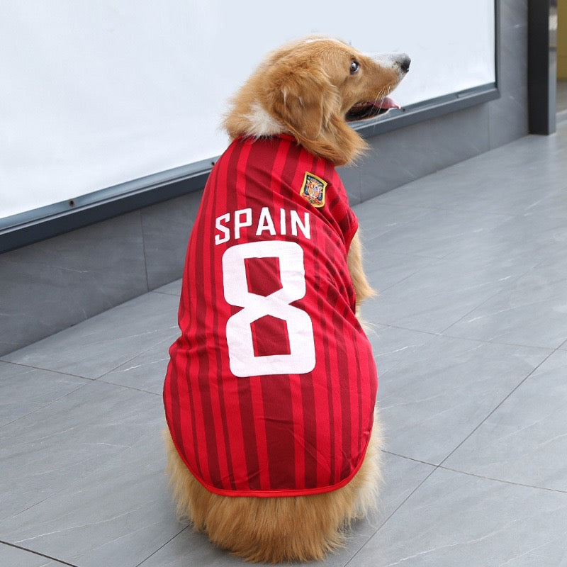 FIFA World Cup pet outfits
