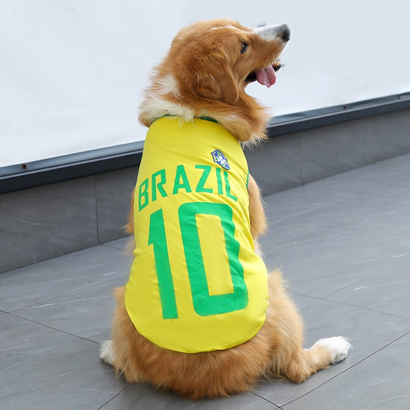 FIFA World Cup pet outfits