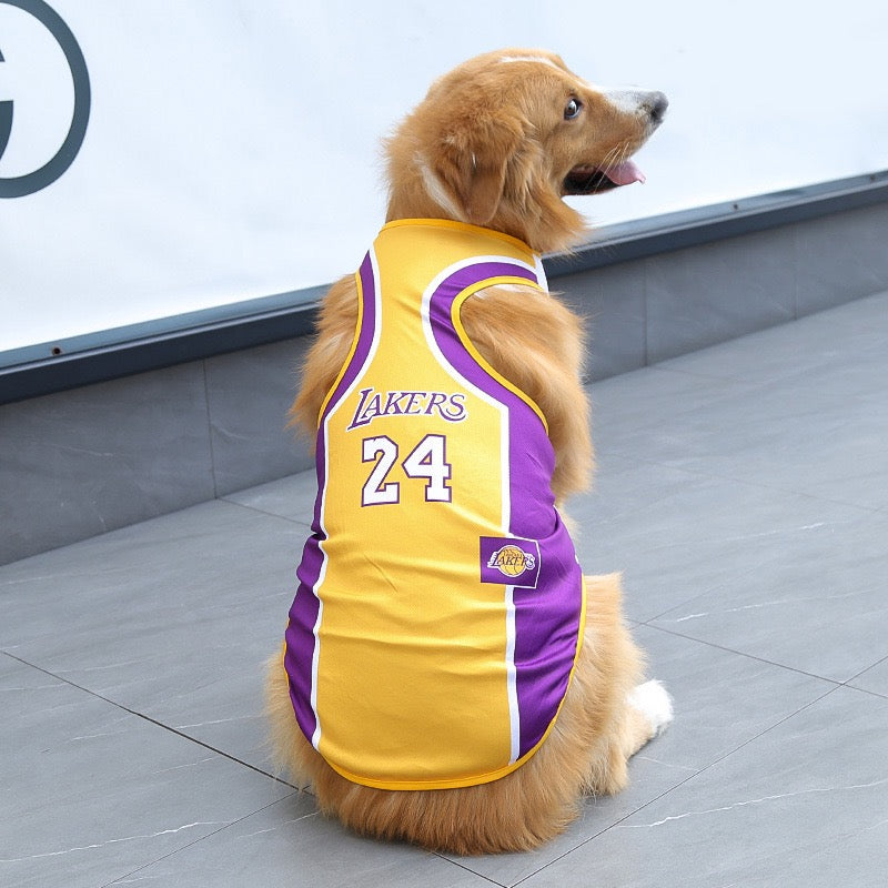 FIFA World Cup pet outfits