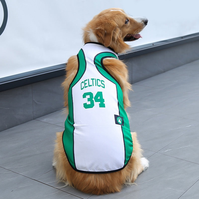 FIFA World Cup pet outfits