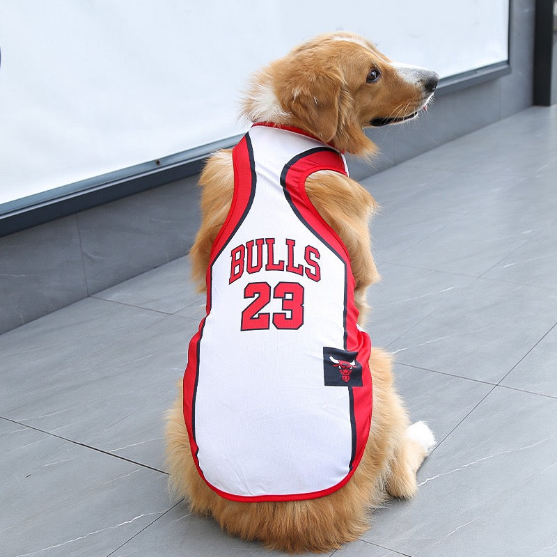 FIFA World Cup pet outfits