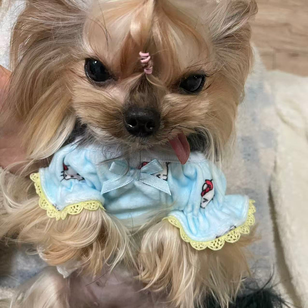 Dogs' outfits