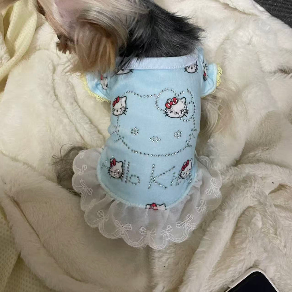 Dogs' outfits