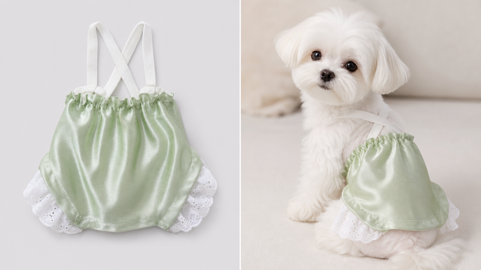 Small white dog wearing a pale sage lace dress
